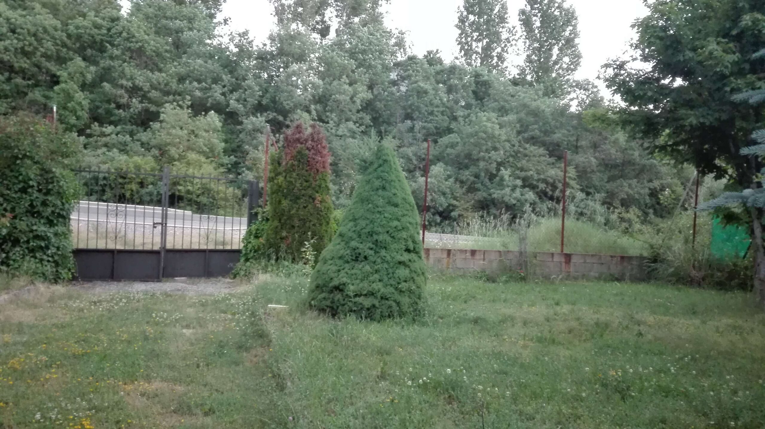 FINCA URBANIZABLE EN GUARDO